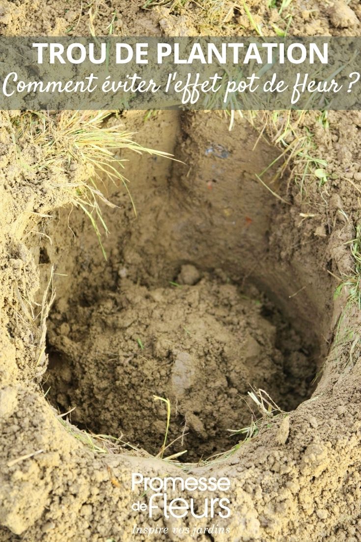 fotografia de um buraco para plantar no jardim