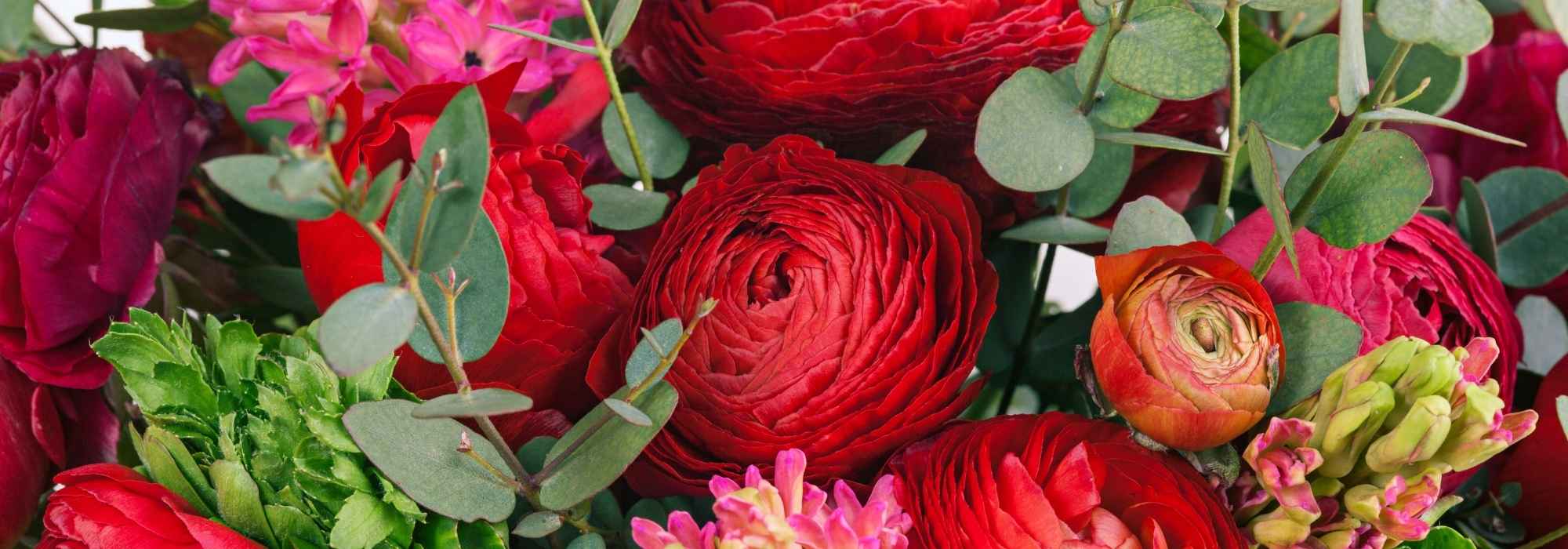 Que ranúnculos escolher para compor bonitos ramos de flores em casa?