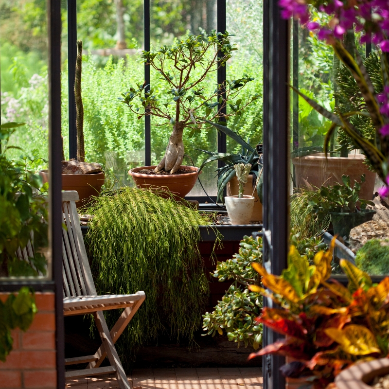 Plantas para a varanda