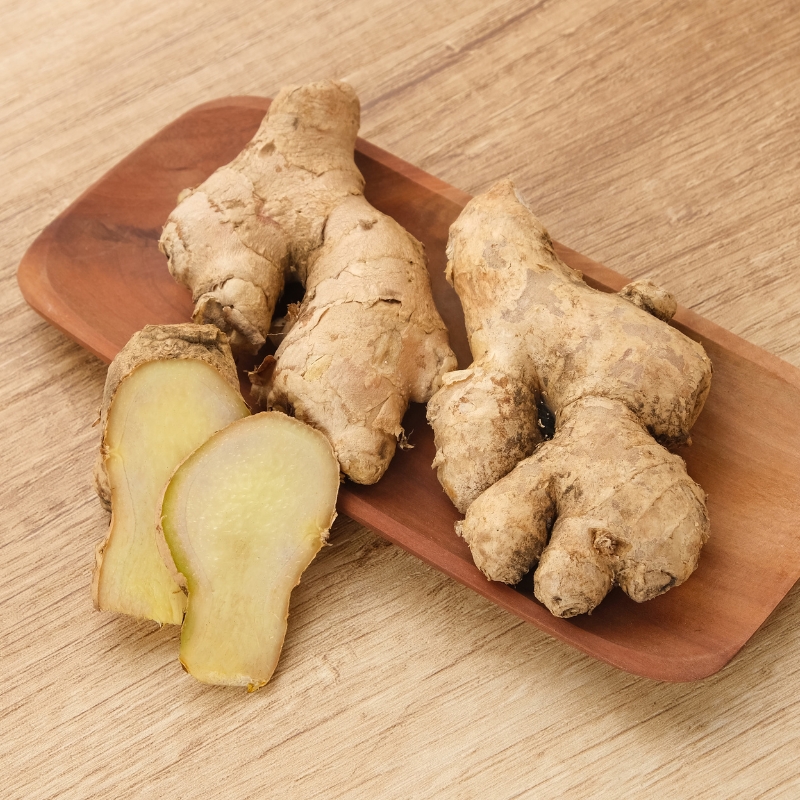 Gingembres - Zingiber