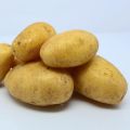 Batatas Ditta Bio