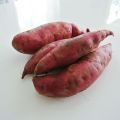 Batata-doce Murasaki 29 plantas jovens