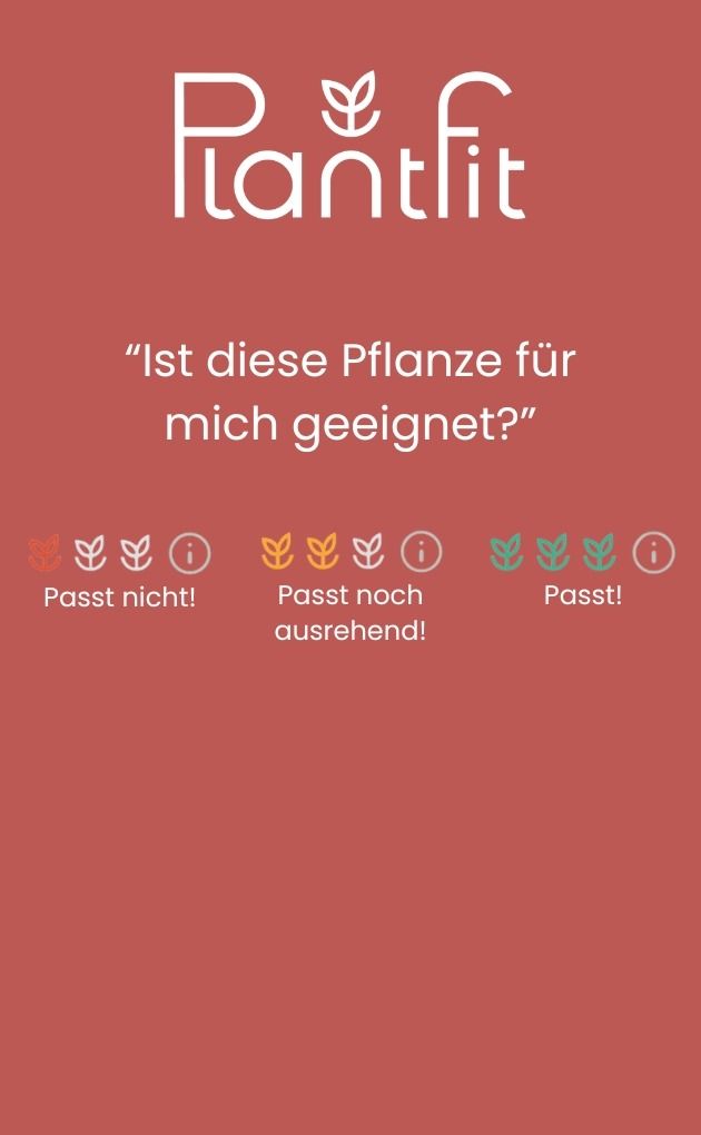 Comment les fleurs attirent-elles les insectes pollinisateurs ?