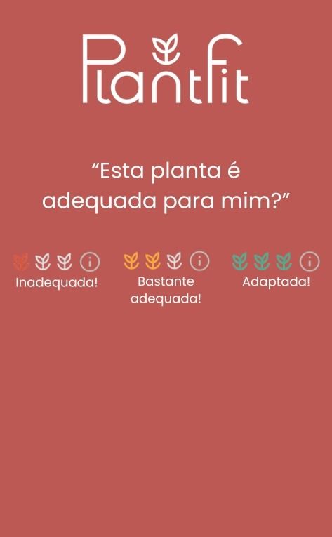 Conselhos personalizados para o seu jardim