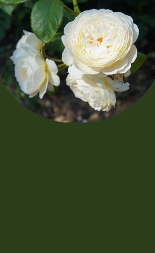 Descubra a nossa seleção a preços acessíveis