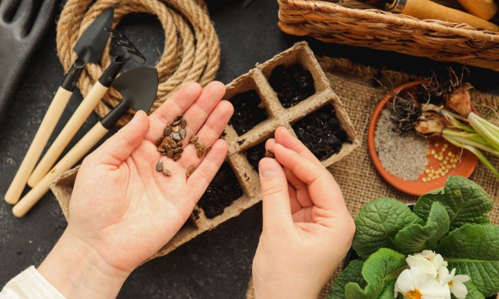 Tudo o que precisa para a sementeira!