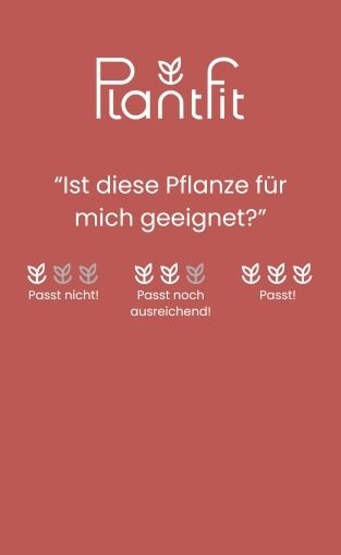 Comment les fleurs attirent-elles les insectes pollinisateurs ?