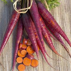 Cenoura Cosmic Purple - Ferme de Sainte Marthe Bio
