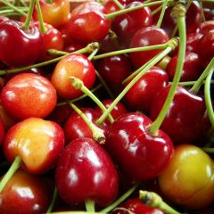 Cerejeira Bigarreau Coeur de Pigeon - Prunus cerasus
