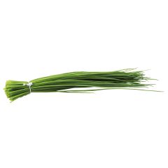 Cebolinho Fino plantas jovens