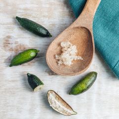 Limão caviar - Microcitrus australasica