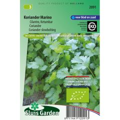 Coentros Marino Bio