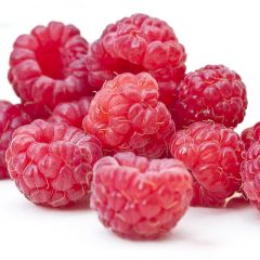 Framboeseiro Twotimer Sugana remontante - Rubus idaeus