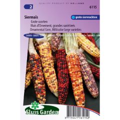 Zea mays japonica Grandes variétés em sementes