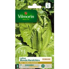 Alface-romana loira para horta Vilmorin