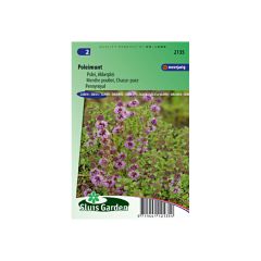 Hortelã Poejo - Mentha pulegium