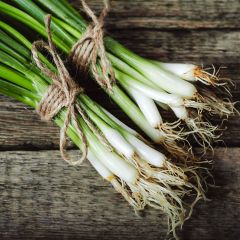 Cebola Blanca de Lisboa