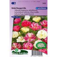 Papoila-da-califórnia Bridal Bouquet Mix em sementes
