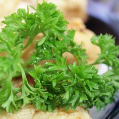 Salsa crespa anã musgosa Bio