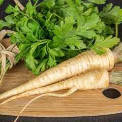 Salsa-tuberosa