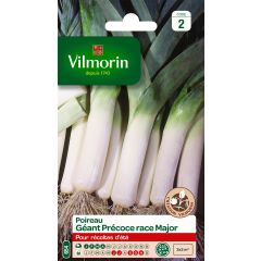 Alho francês gigante precoce Major Vilmorin