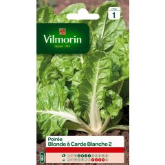 Acelga loira de talo branco 2 (Blonde de Lyon) Vilmorin