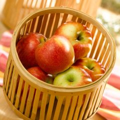 Macieira Delbard Jubilé Georges Delbard - Malus domestica