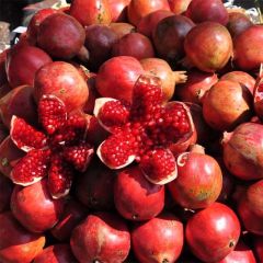 Romãzeira Wonderful - Punica granatum