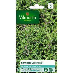 Segurelha Vilmorin - Satureja hortensis