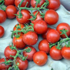 Tomate-cereja Sweetie