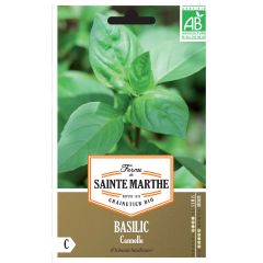 Manjericão-canela Cinnamon - Ferme de Sainte Marthe Bio