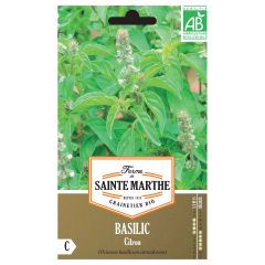 Manjericão-limão Citron - Ferme de Sainte Marthe Bio