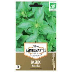 Manjericão Marseillais - Ferme de Sainte Marthe Bio