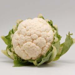 Couve-flor Thabor em torrões