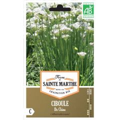 Cebolinho Chinês Ferme de Ste Marthe Bio
