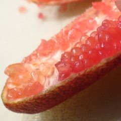 Limão caviar Grãos Vermelhos Red Crystal