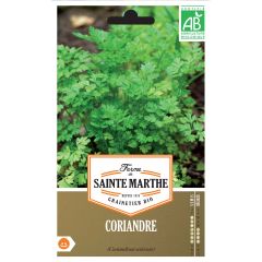 Coentro culticado - Ferme de Sainte Marthe Bio