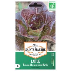 Alface-romana de Inverno de Sainte-Marthe - Ferme de Sainte Marthe Bio