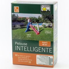 Relvado inteligente — regiões quentes / zonas costeiras