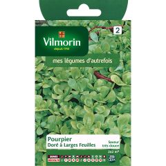 Beldroegas Dourada de Folha Larga Vilmorin - Portulaca oleracea