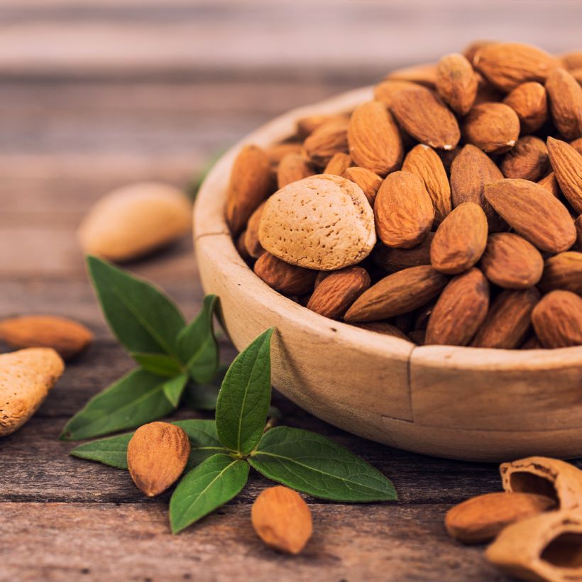 Amendoeira - Prunus dulcis (Colheita)