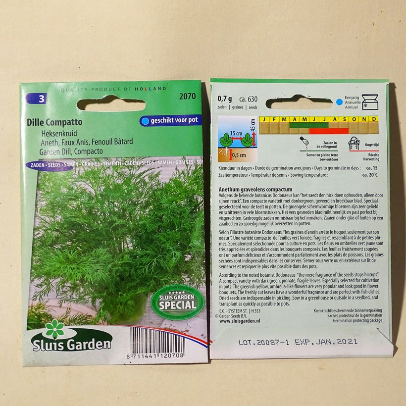 Exemplo de amostra de Aneth compatto per pack of 400 seeds (1g) tal como entregue