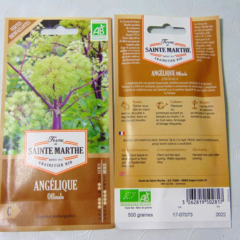 Exemplo de amostra de Angélique officinale Bio - Ferme de Sainte Marthe die Tüte mit 400 Samen (2g) tal como entregue