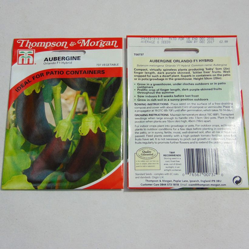 Exemplo de amostra de Aubergine Orlando - Solanum melongea die Tüte mit 6 Samen tal como entregue