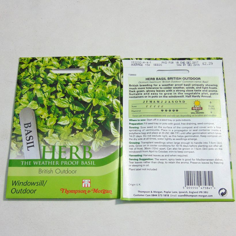 Exemplo de amostra de Basilic British Outdoor per pack of 100 seeds tal como entregue