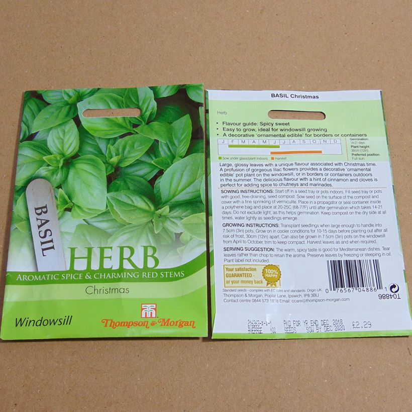 Exemplo de amostra de Basilic Christmas per pack of 150 seeds tal como entregue
