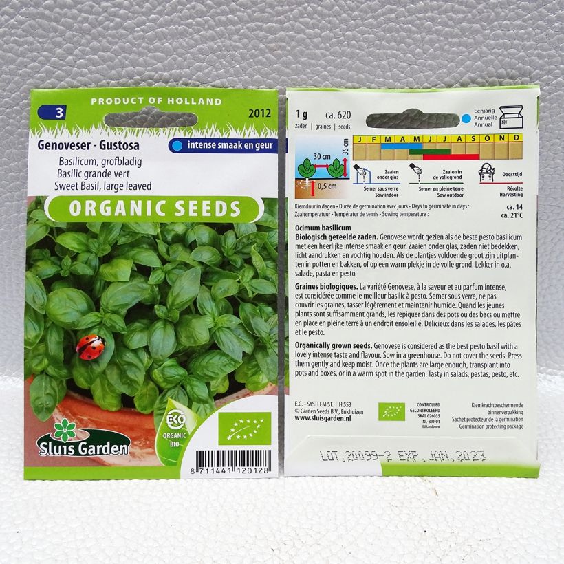 Exemplo de amostra de Basilic Gustosa Bio - Basilic à larges feuilles Genoveser die Tüte mit 620 Samen (1g) tal como entregue