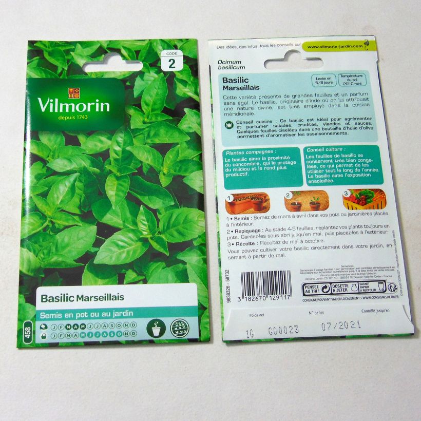 Exemplo de amostra de Basilic Marseillais (extrêmement parfumé) - Vilmorin die Tüte mit 800 Samen (1g) tal como entregue