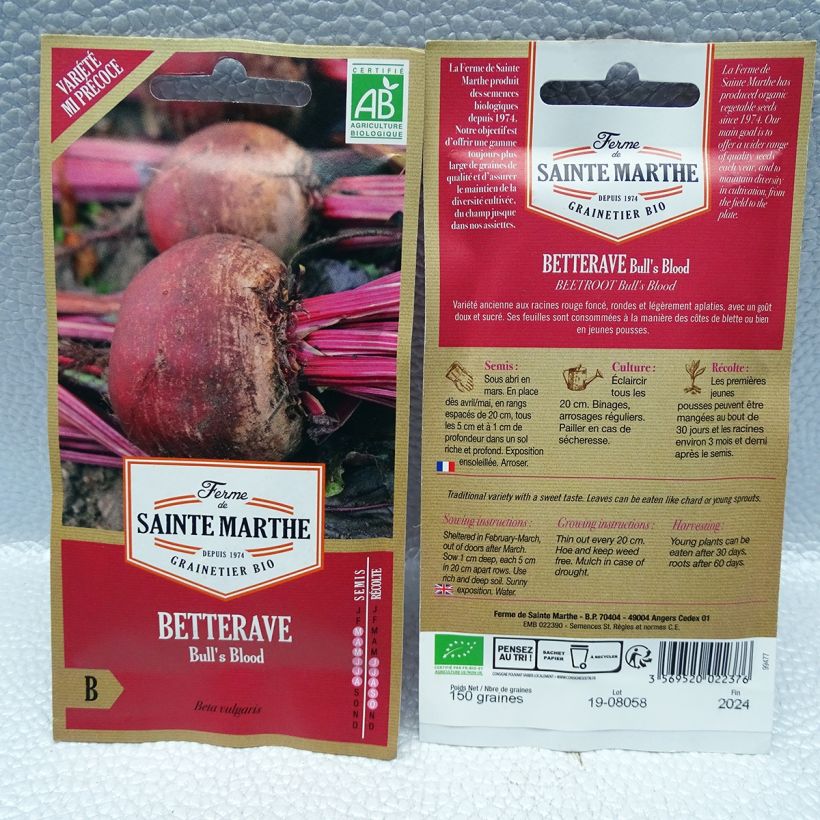 Exemplo de amostra de Betterave rouge Bull's Blood Bio - Ferme de Sainte Marthe per pack of 150 seeds tal como entregue