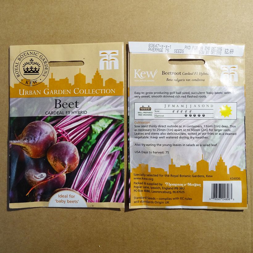 Exemplo de amostra de Betterave rouge Cardeal F1 - Beta vulgaris per pack of 75 seeds tal como entregue